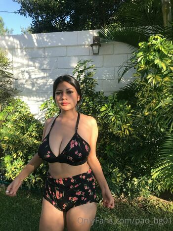 pao_bg01
