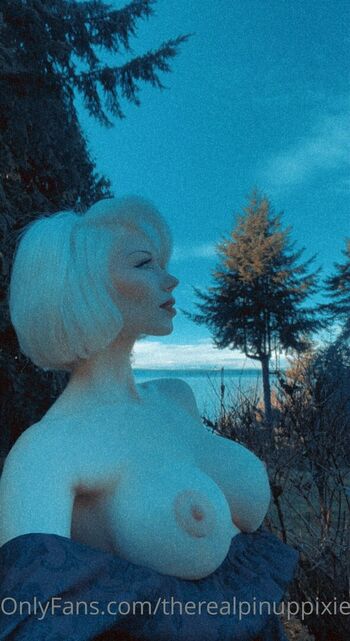 TheRealPinuppixie