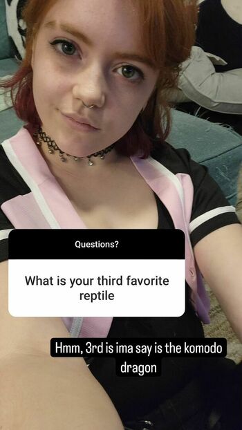Willow.trie