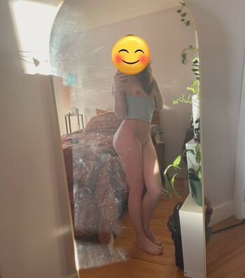 Wilmadongfit